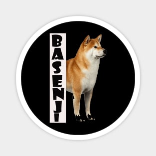 basenji dog dogs pet puppy Magnet